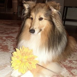 Meet your Posher, Tammi